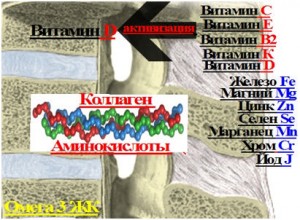 komponenty_dlja_sinteza_kosti